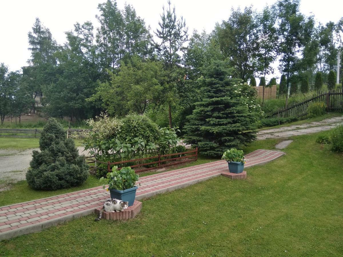 Apartament Widok Czarna Góra Exterior foto